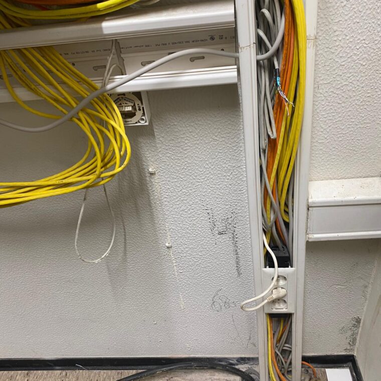 Zdjęcie WhatsApp 2025-08-15 o 11.11.00_aec9d1f7